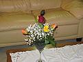 Clicca sull'immagine per ingrandirla. 

Nome:   fiori_003.jpg 
Visite: 52 
Dimensione: 24.7 KB 
ID: 136765